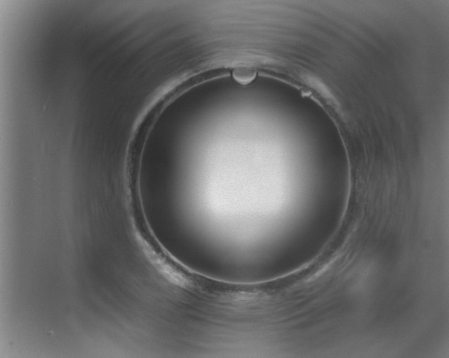 X0000070211122200605261245