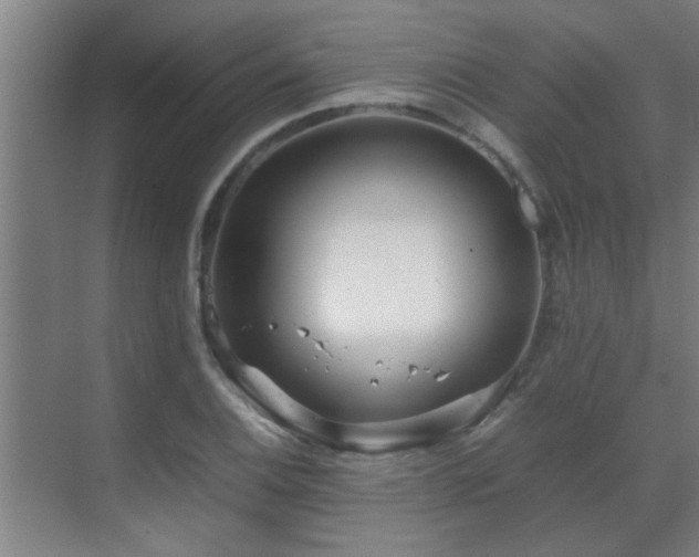 X0000070211124200605261245