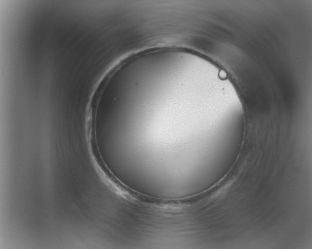 X0000070211126200605261245