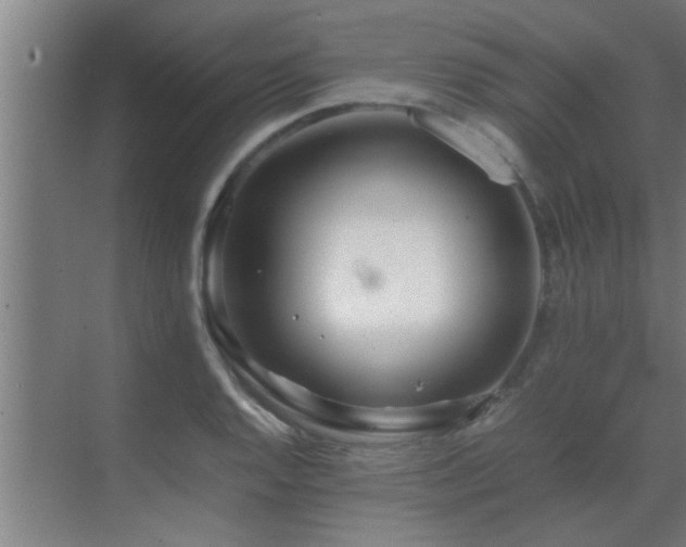 X0000070211128200605261245