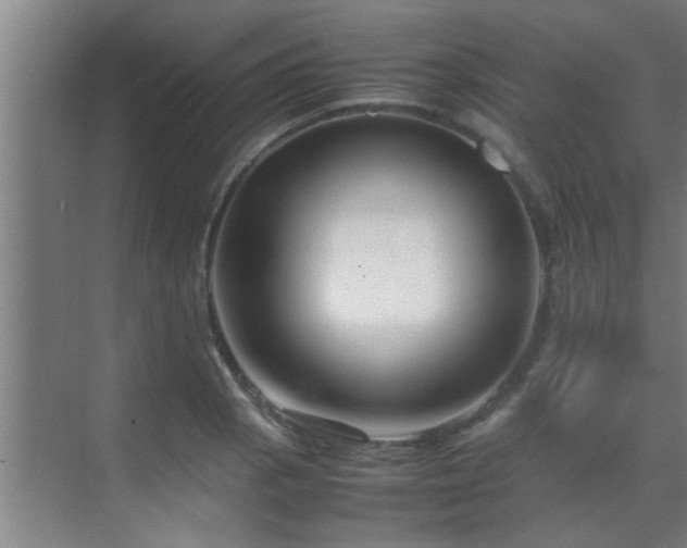 X0000070211129200605261245