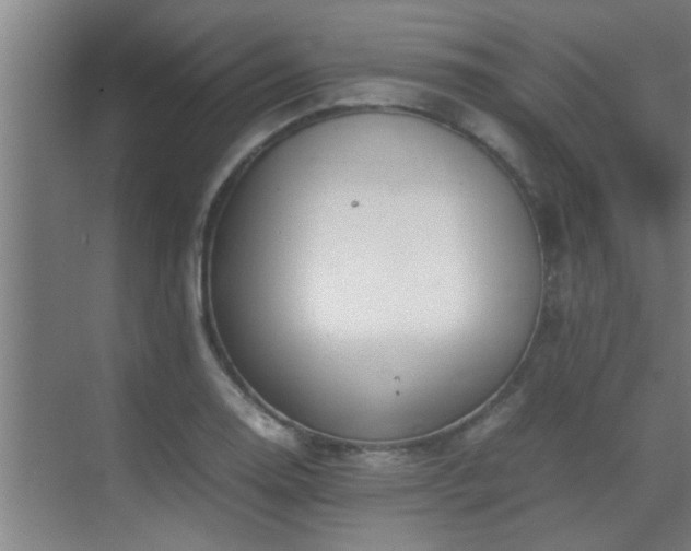 X0000070211130200605261245