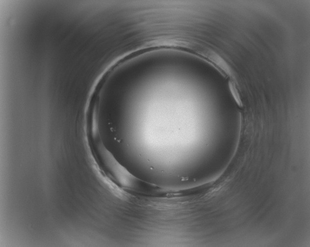 X0000070211132200605261245