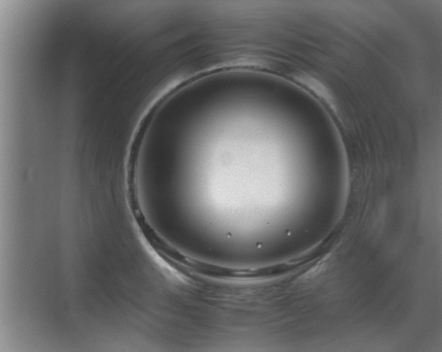 X0000070211135200605261245