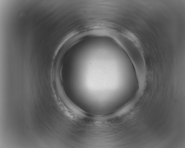 X0000070211138200605261245