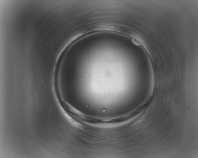 X0000070211139200605261245