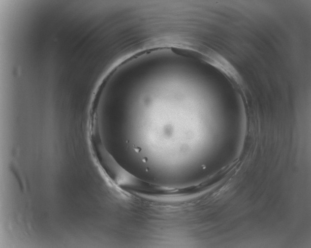 X0000070211144200605261245