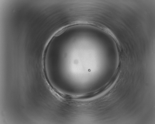 X0000070211148200605261245