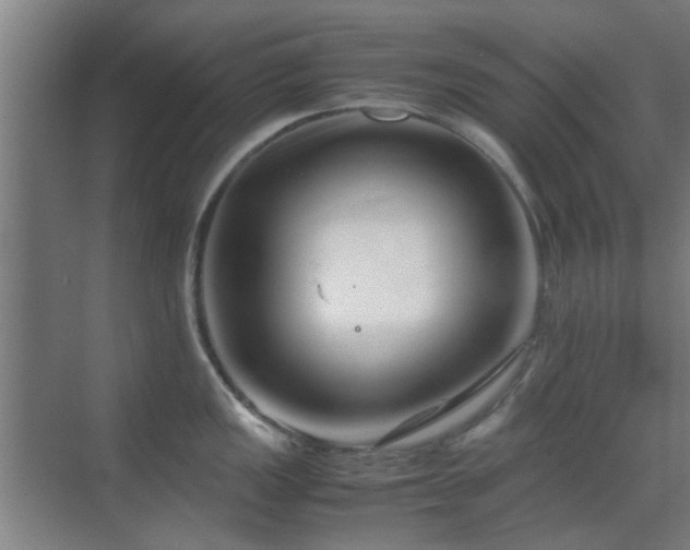 X0000070211149200605261245