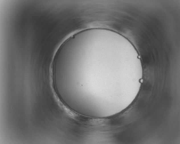 X0000070211150200605261245