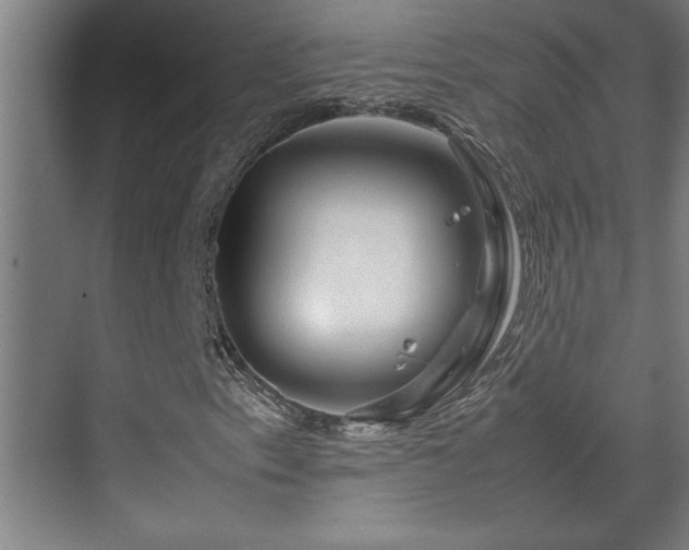 X0000070211153200605261245