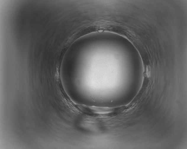 X0000070211155200605261244