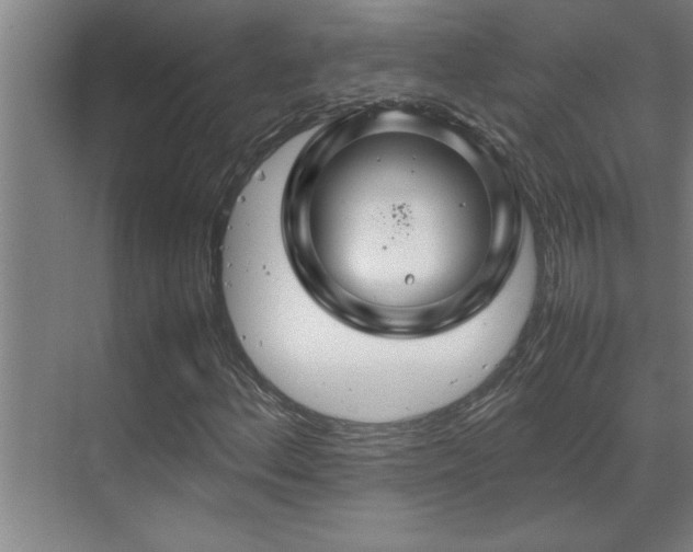 X0000070211156200605261244