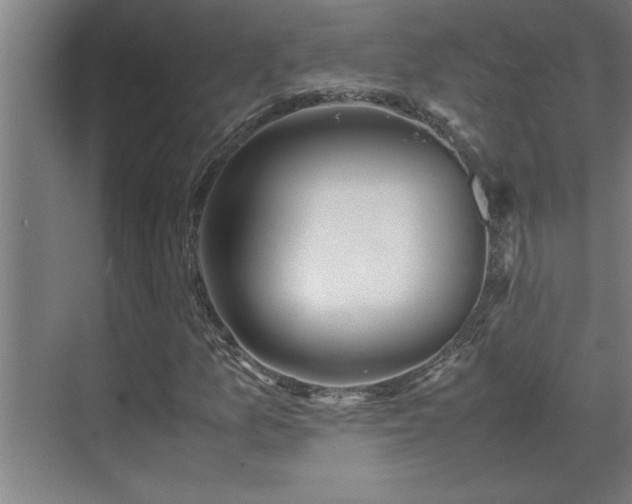 X0000070211157200605261244