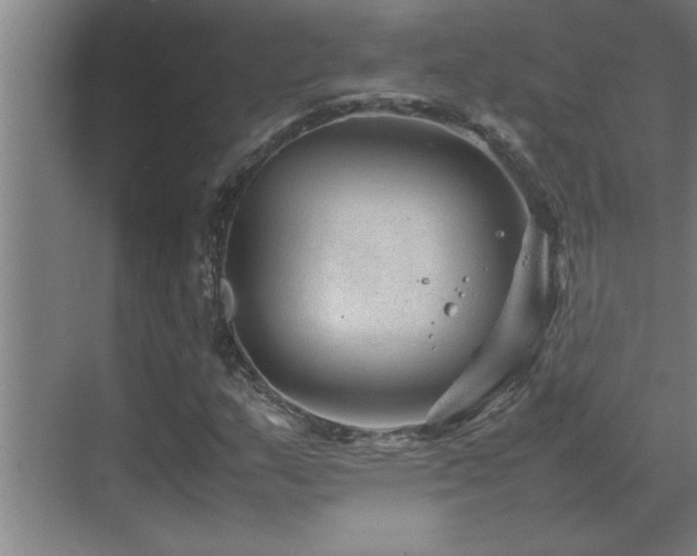 X0000070211159200605261244