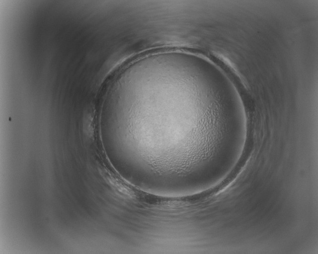 X0000070211163200605261244