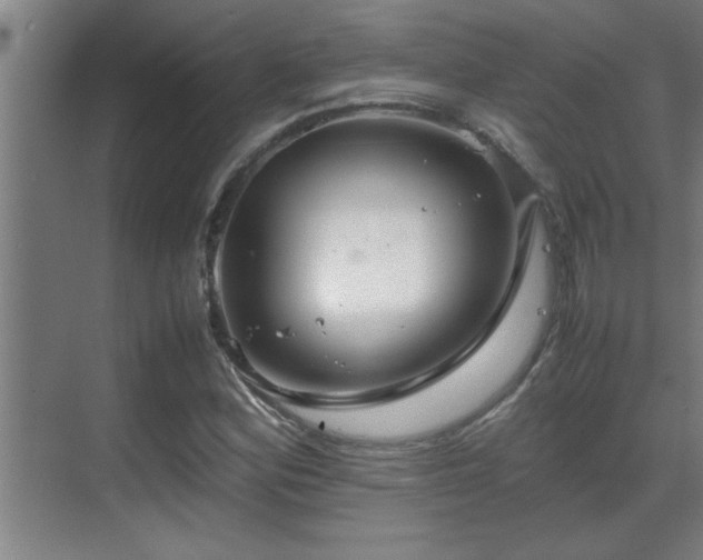 X0000070211164200605261244