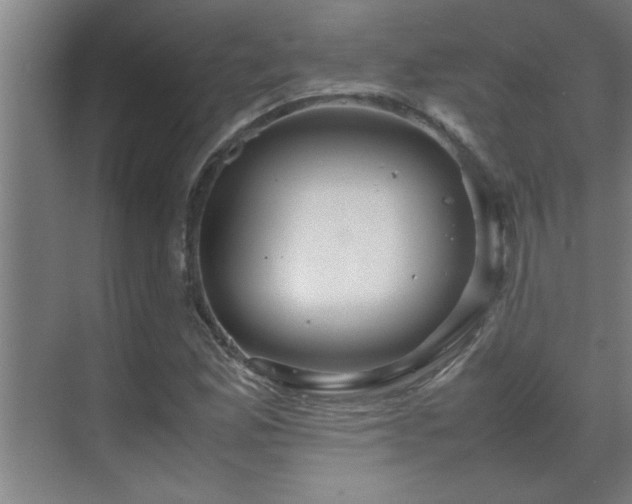 X0000070211165200605261244