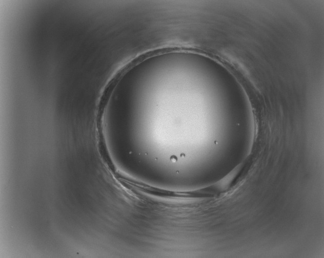 X0000070211168200605261244