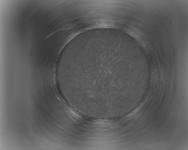 X0000070211170200605261244