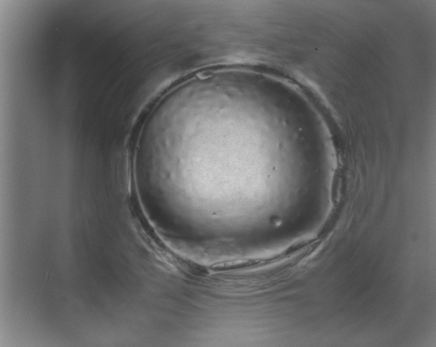 X0000070211171200605261244