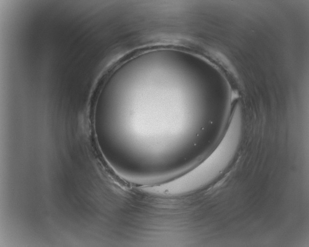 X0000070211172200605261244