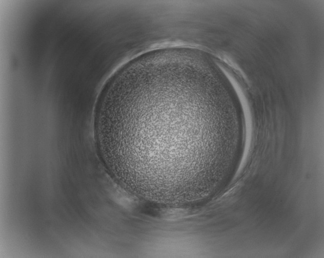 X0000070211173200605261244