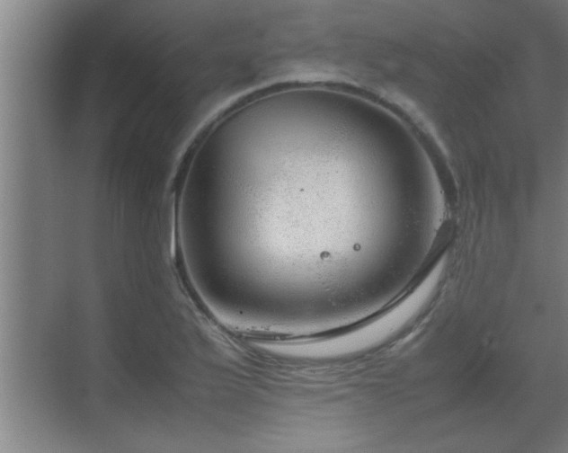 X0000070211175200605261244