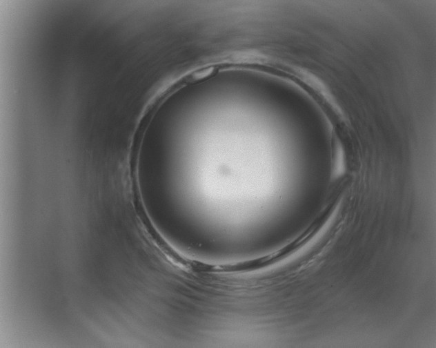 X0000070211176200605261244