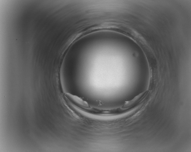 X0000070211177200605261244