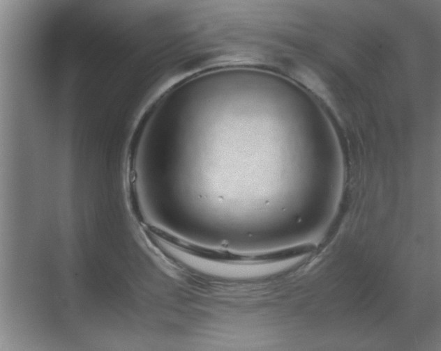 X0000070211179200605261244