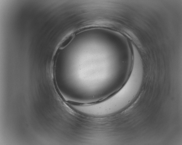 X0000070211180200605261244