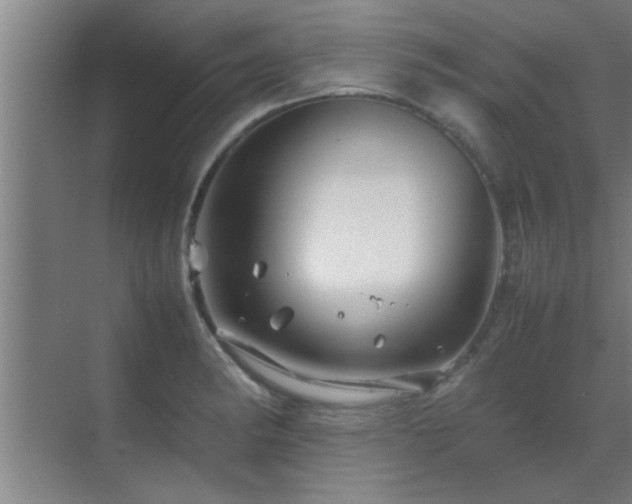 X0000070211182200605261244