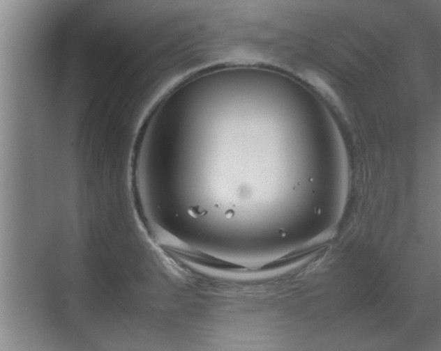 X0000070211183200605261244