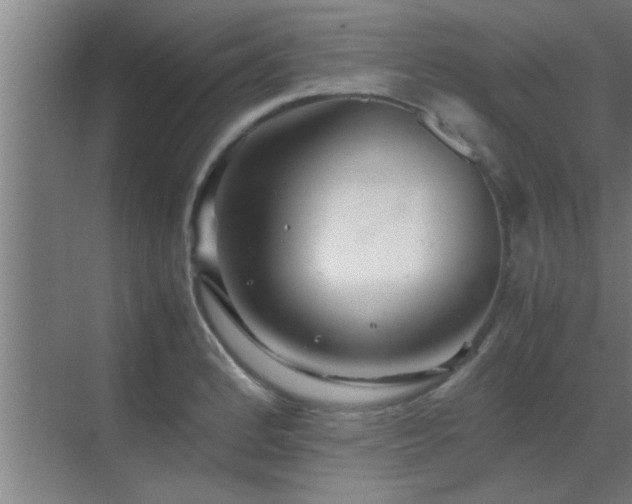 X0000070211184200605261244