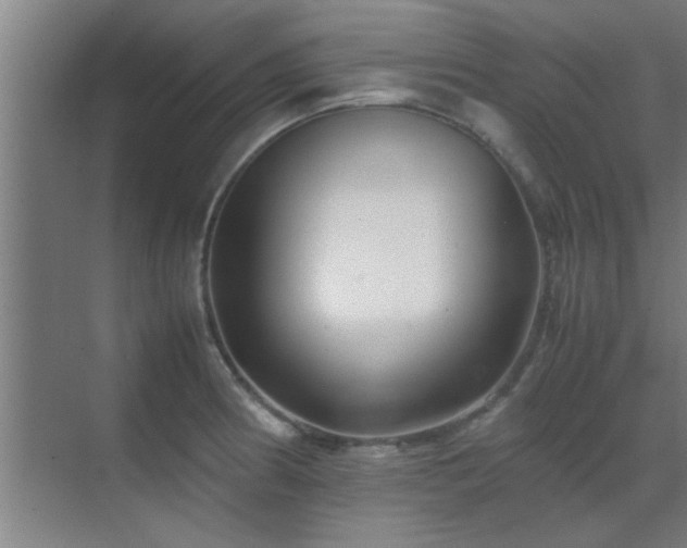 X0000070211186200605261244