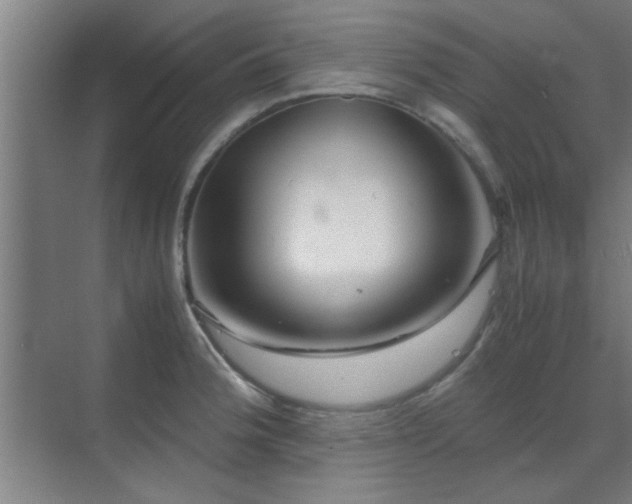 X0000070211188200605261244