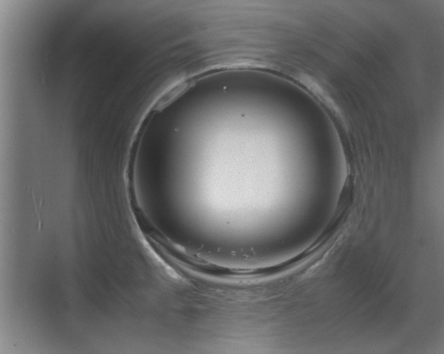 X0000070211189200605261244