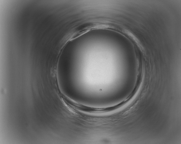 X0000070211193200605261244