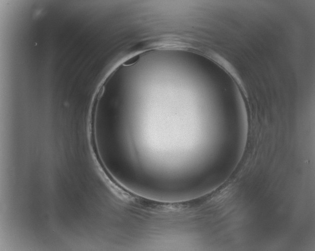 X0000070211195200605261244