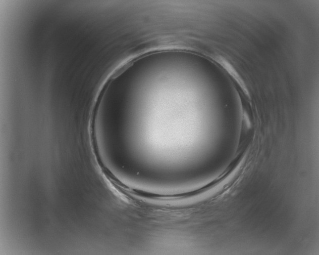 X0000070211197200605261244