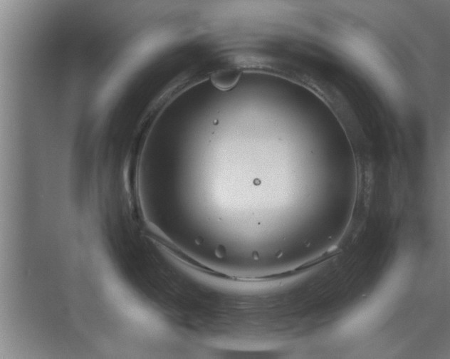 X0000070211198200605261244