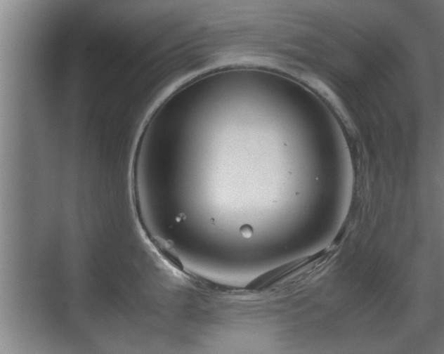 X0000070211199200605261244