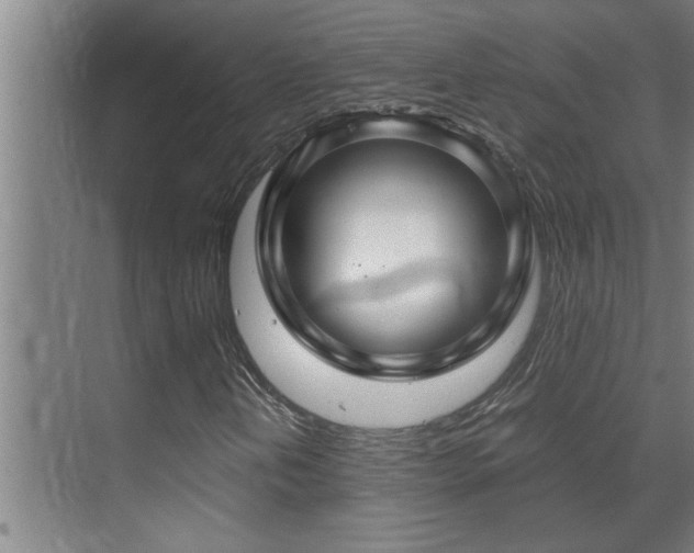 X0000070211202200605261243