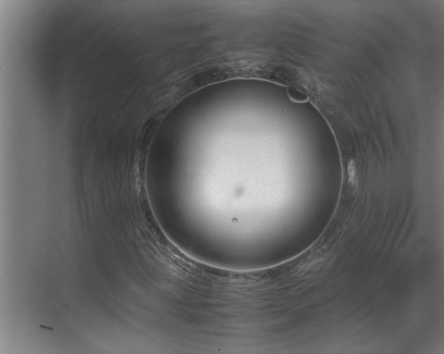 X0000070211203200605261243