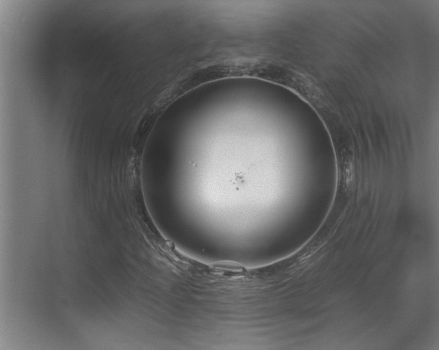 X0000070211204200605261243