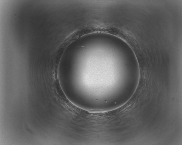 X0000070211205200605261243