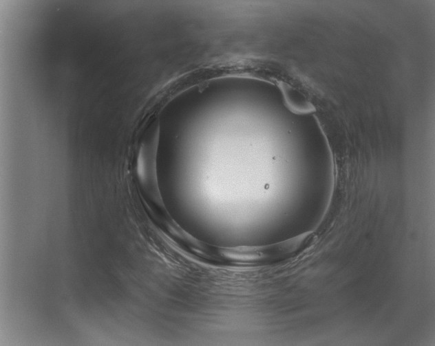 X0000070211206200605261243