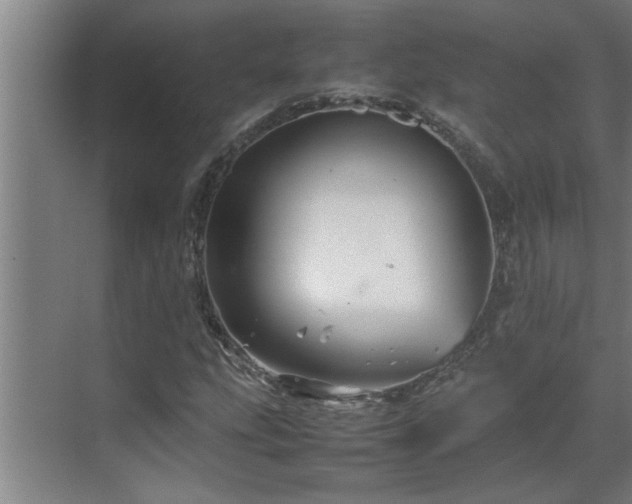 X0000070211207200605261243