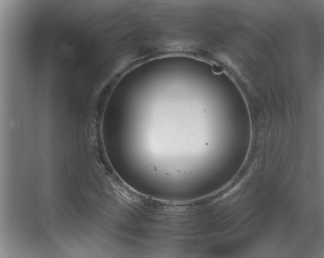 X0000070211211200605261243